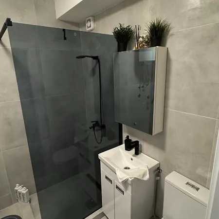 Luni Apartmants Vracar Belgrade Exterior photo