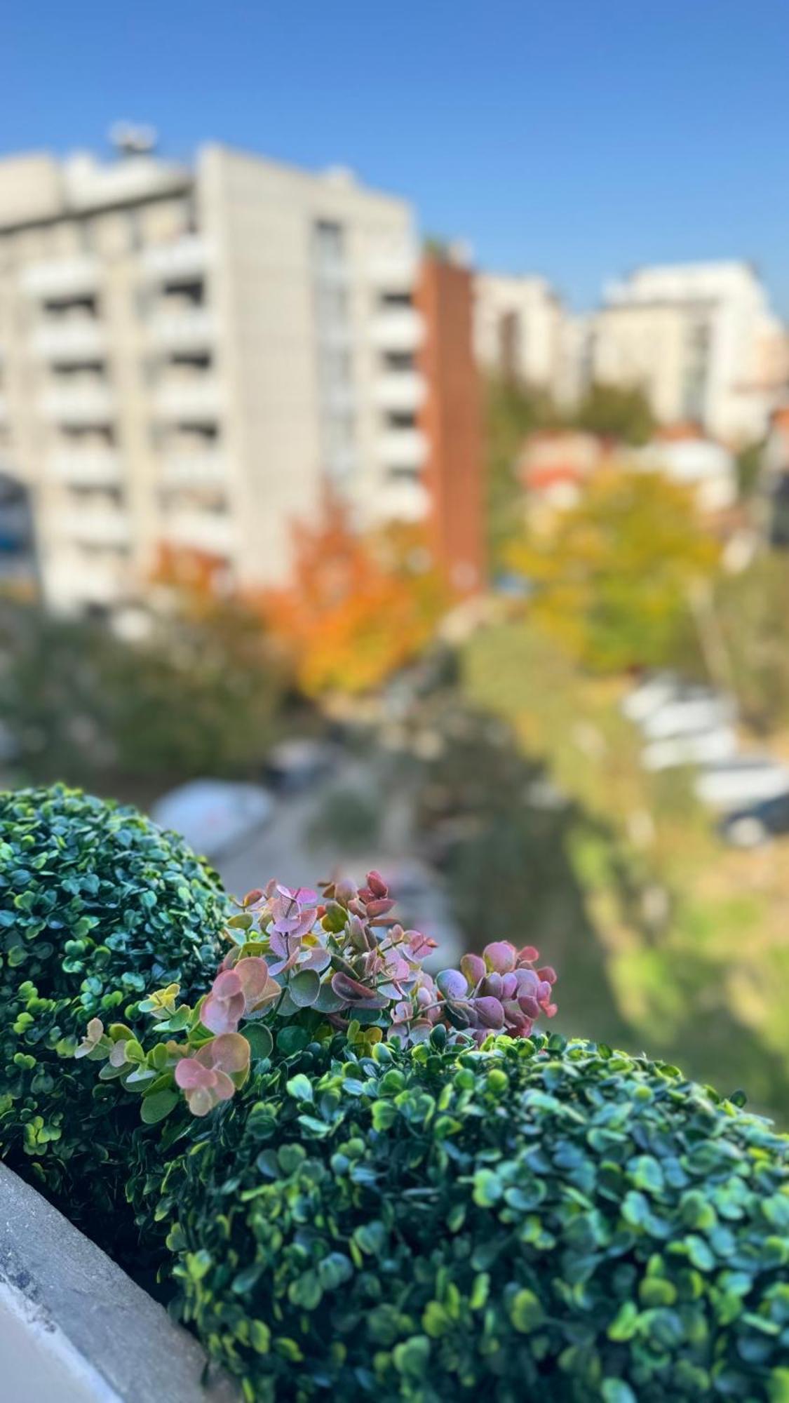 Luni Apartmants Vracar * Belgrad